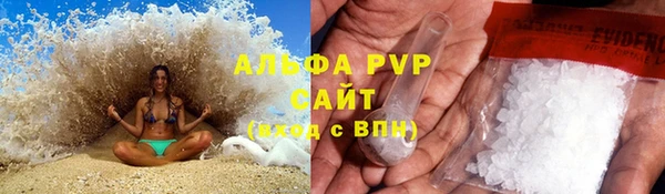 крисы Алексин