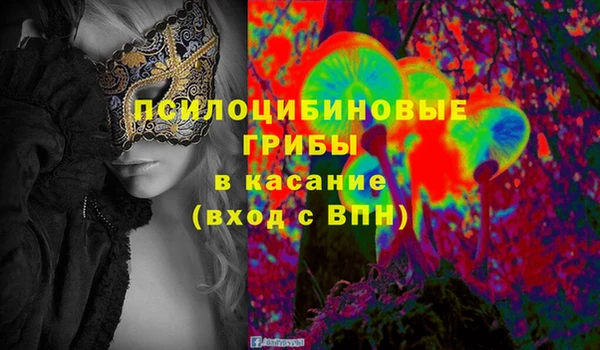 молекула духа Алексеевка