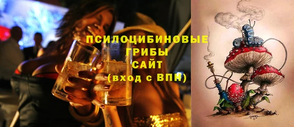 крисы Алексин