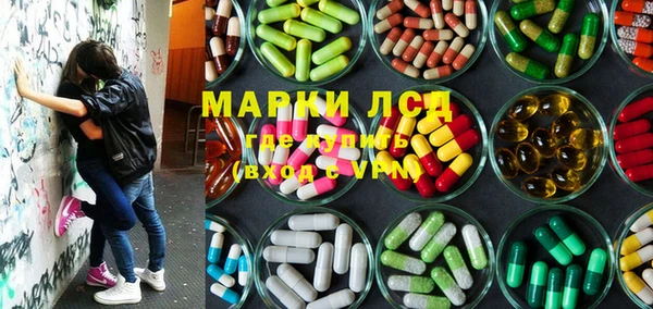 крисы Алексин