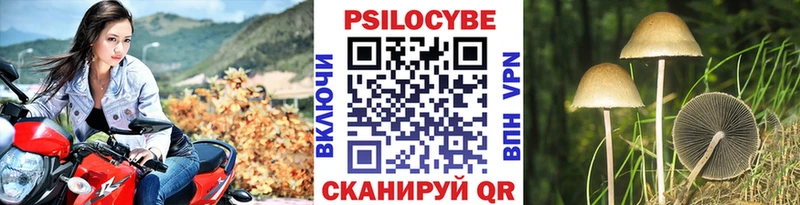 shop телеграм  Сельцо  Псилоцибиновые грибы Magic Shrooms 